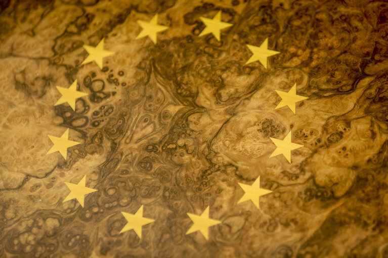 Photo 22: European Parliament building in Strasbourg - Architectural details - European stars