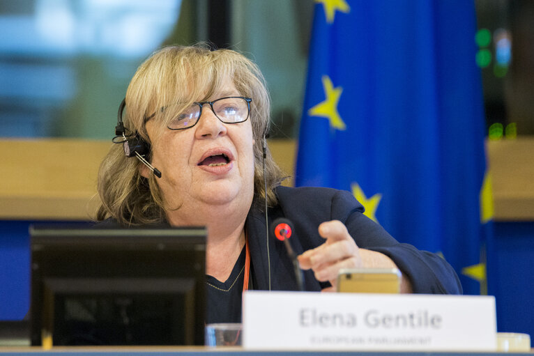 Fotografie 22: 1st EU STROKE SUMMIT - Understanding the Burden of Stroke in Europe