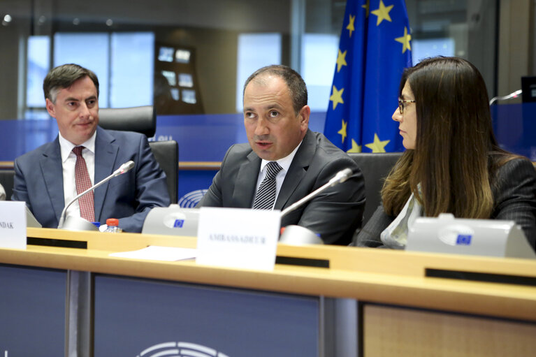 Fotó 14: AFET Committee meeting: ' Stabilization and Association Agreement between the European Communities and their Member States, of the one part, and Bosnia and Herzegovina, of the other part, to take account of the accession of the Republic of Croatia to the EU '