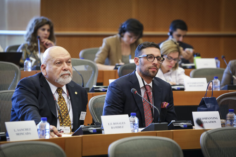 EP Delegation for Relations with Central America - Meeting with the Minister for Foreign Affairs of Honduras