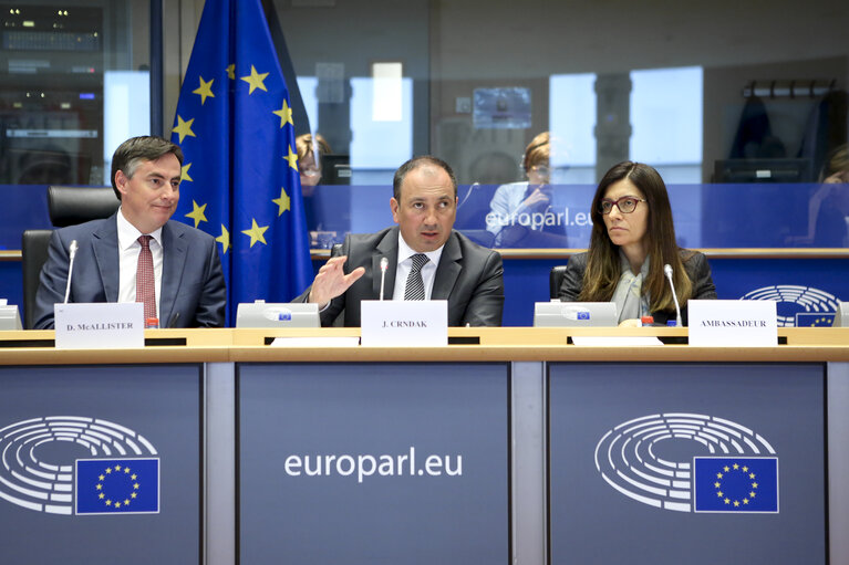 Fotó 13: AFET Committee meeting: ' Stabilization and Association Agreement between the European Communities and their Member States, of the one part, and Bosnia and Herzegovina, of the other part, to take account of the accession of the Republic of Croatia to the EU '