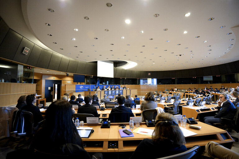 Foto 15: EP Delegation for relations with Latin America - Public hearing : ' The Role and Influence of Civil Society in EU – Latin America Trade Agreements '