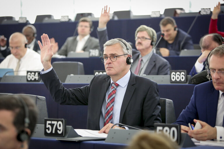 Photo 4: Marc JOULAUD in plenary session Week 20 2017 in Strasbourg