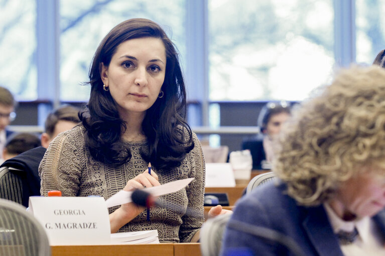Delegation to the Euronest PA in cooperation with Open Society Foundations conference on ' The Implementation of the Eastern Partnership and Association Commitments in the field of anti-discrimination, judiciary and fight against corruption. Third panel