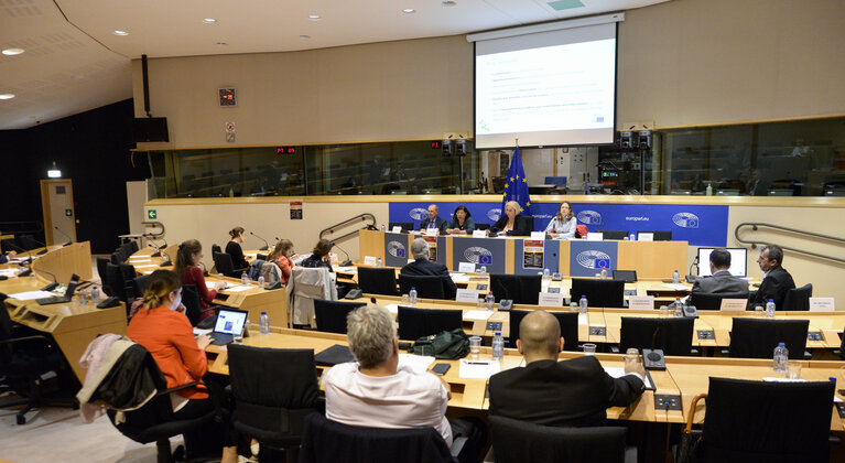 Photo 8 : STOA workshop ' Innovative financing for cross-border transport '