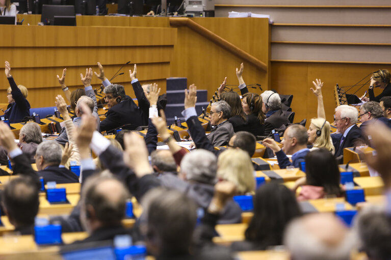 Fotogrāfija 34: Plenary session - Week 17 2017 in BrusselsVOTES followed by explanations of votes