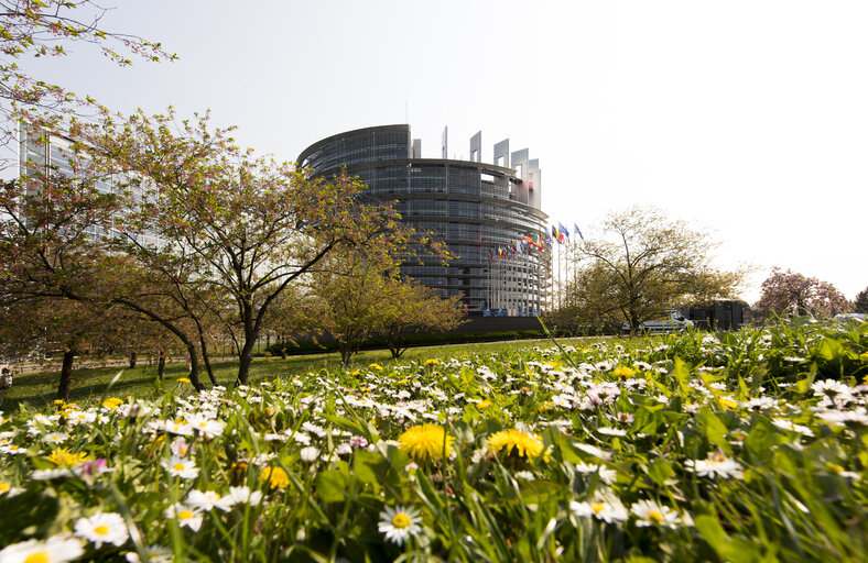 Fotografija 25: Flags in the European Parliament in Strasbourg