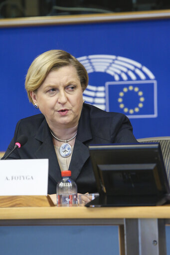 Foto 5: SEDE Subcommittee - The future of conventional arms control in Europe - Exchange of views