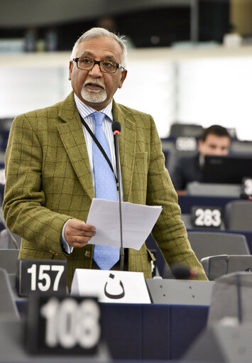 Plenary session week 43 2014 in strasbourg - European IS fighters