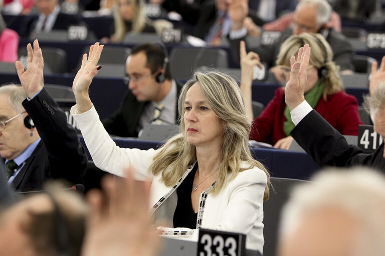 Fotografija 1: Constance LE GRIP in Plenary week43 2014 during the vote