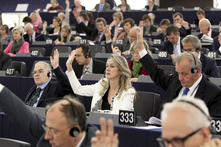 Fotografija 2: Constance LE GRIP in Plenary week43 2014 during the vote