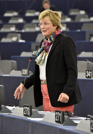 Valokuva 9: Plenary session week 43 2014 in strasbourg - European IS fighters