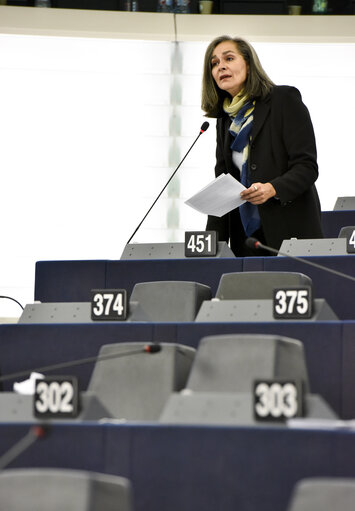 Valokuva 13: Plenary session week 43 2014 in strasbourg - European IS fighters