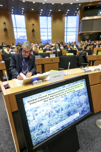 Suriet 15: AGRI Hearing  A new EU Forest Strategy: for forests and the forest-based sector