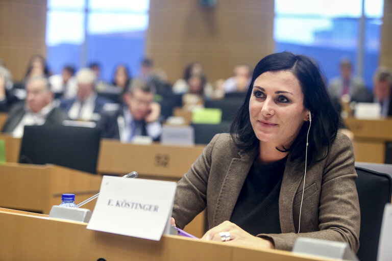 Fotografi 1: AGRI Hearing  A new EU Forest Strategy: for forests and the forest-based sector