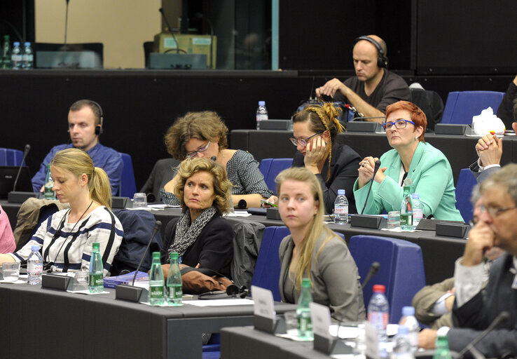 Fotografi 17: Public Hearing on Hungary's Media Laws: Freedom of  expression under threat?