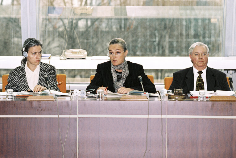 Foto 5: Meeting at the European Parliament in Strasbourg