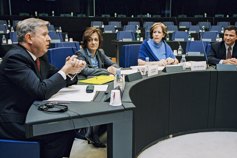 Meeting at the European Parliament