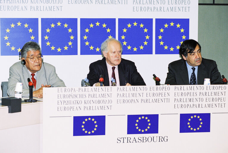 EP-Japan delegation press conference