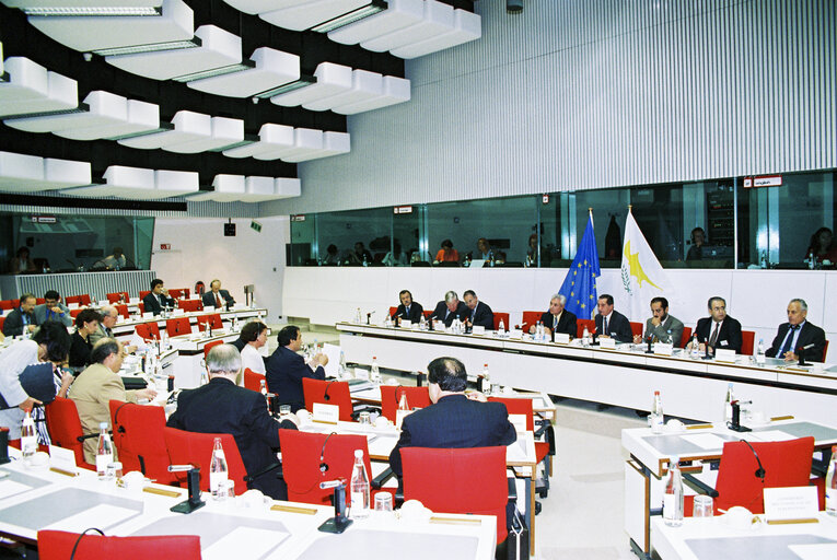 Fotografi 3: EP-Cyprus Joint Committee meeting in Brussels