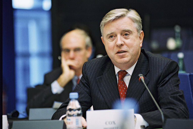 Fotografie 7: Meeting at the European Parliament