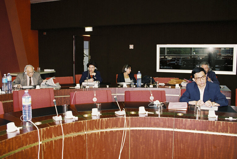 Fotografia 3: The representative Mar??a Izquierdo Rojo Vice President of the Delegation for the relations of the EU with the Maghreb initiated a session at the European Parliament on the Amazigh culture, June 11, 1997 in Strasbourg