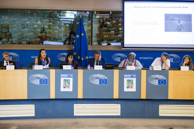 Photo 21: Joint DROI DEVE committee meeting - Hearing on human rights and development