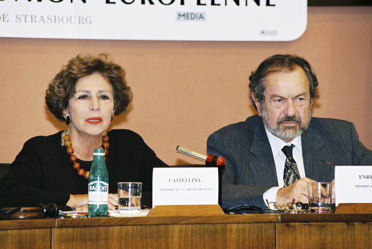 Fotogrāfija 15: Opening of the  Forum du cinema europ?©en de Strasbourg  - Strasbourg European Film Forum