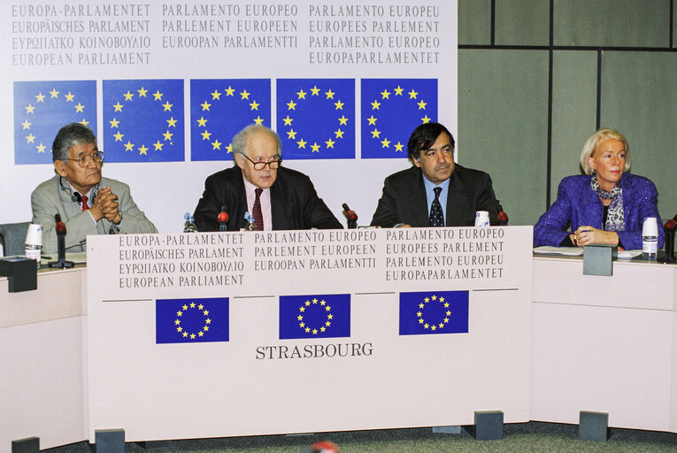 EP-Japan delegation press conference