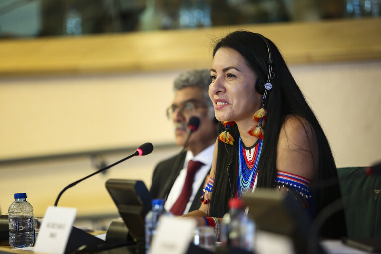 Fotografie 17: Joint DROI DEVE committee meeting - Hearing on human rights and development