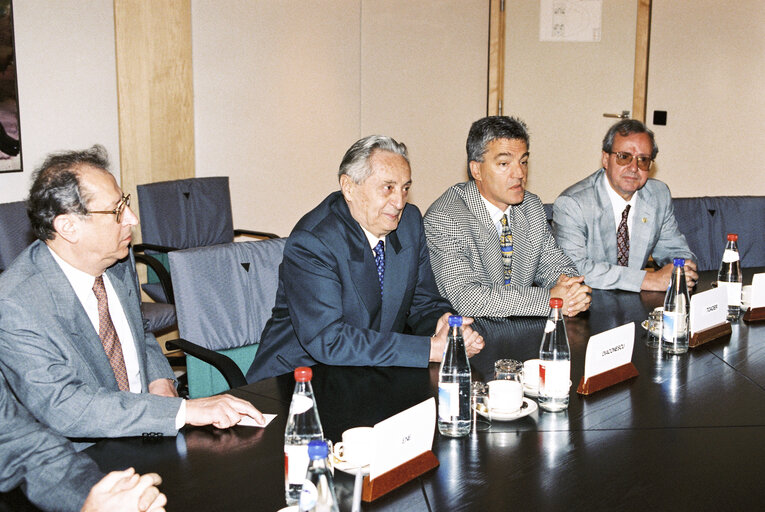 Fotografija 2: Meeting with the Speaker of the Chamber of Deputies of Romania at the European Parliament in Brussels