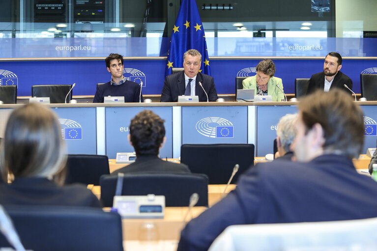 A Music (Funding) Pogramme for Europe