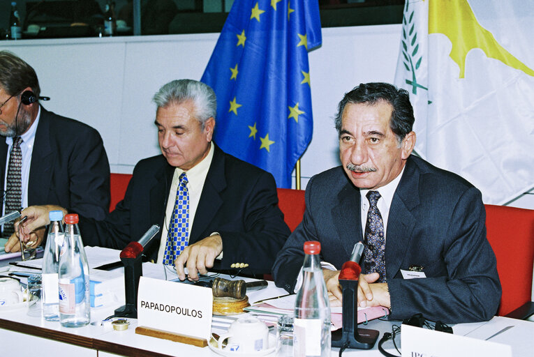 Fotografia 8: EP-Cyprus Joint Committee meeting in Brussels