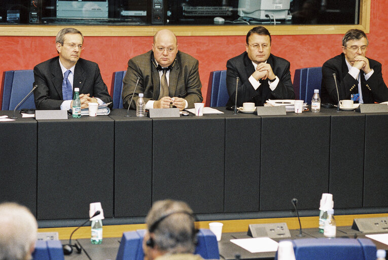 Fotografija 7: Meeting at the European Parliament