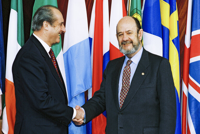 Fotogrāfija 9: The President of Austria makes an official visit to the EP in Strasbourg