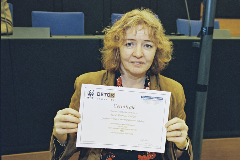 Press conference on the results of the WWF inquiry - chemicals check up in Strasbourg on April 21, 2004.