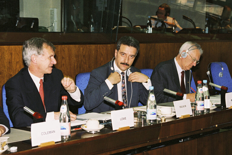 Foto 4: Committee on Budgets meeting - hearing of experts