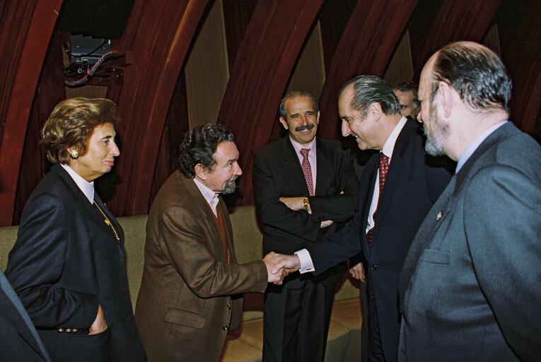 Fotogrāfija 7: The President of Austria makes an official visit to the EP in Strasbourg