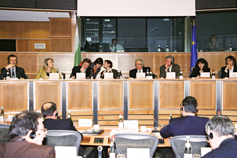 Photo 3 : EU-Bulgaria Joint Parliamentary Committee