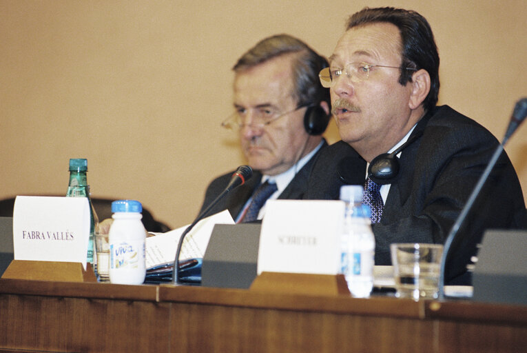 Foto 4: Court of Auditors Report 2003: Annual Report presented to the BUDG Committee