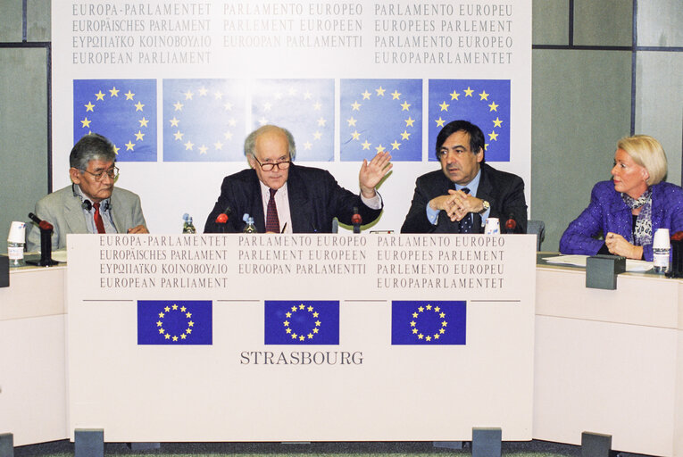 EP-Japan delegation press conference