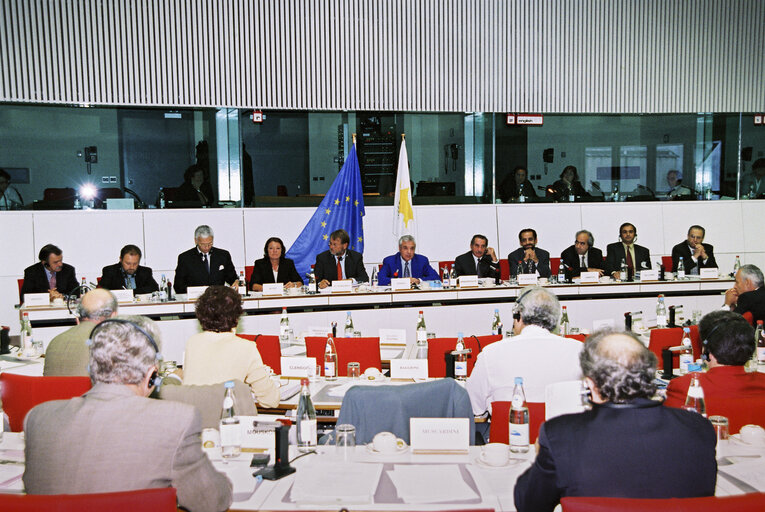 Fotogrāfija 11: EU-Cyprus Joint Committee meeting