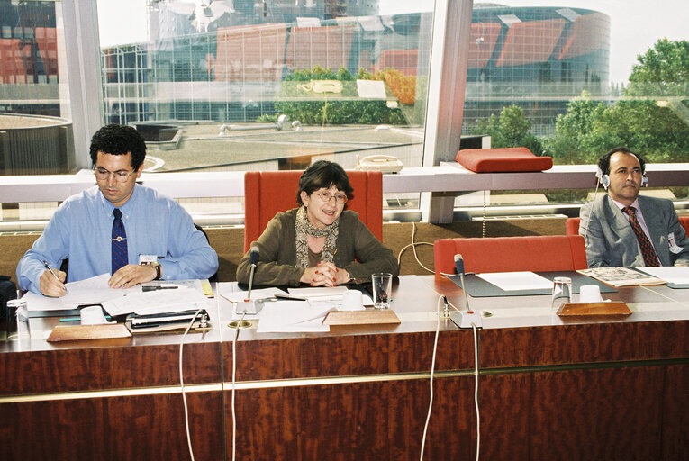 Fotografia 4: The representative Mar??a Izquierdo Rojo Vice President of the Delegation for the relations of the EU with the Maghreb initiated a session at the European Parliament on the Amazigh culture, June 11, 1997 in Strasbourg