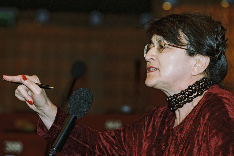 MEP Maria IZQUIERDO ROJO speaks in plenary session in Strasbourg