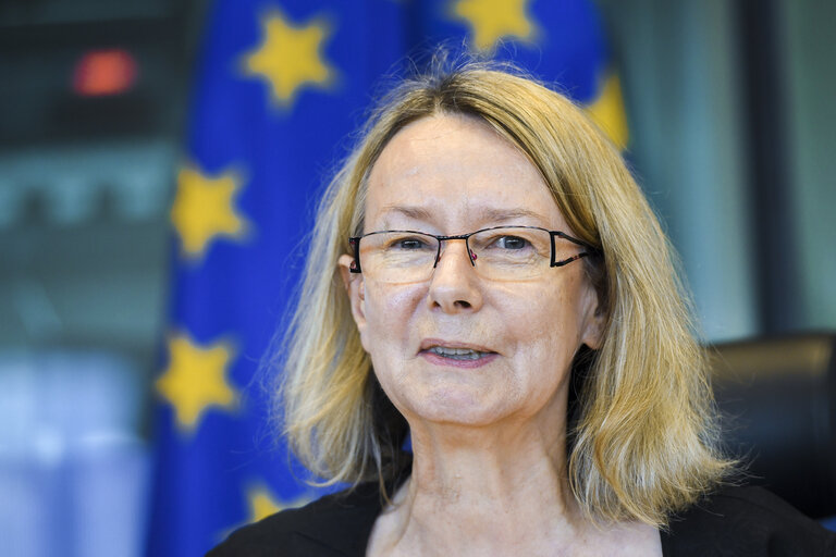 IMCO Working Group on the Digital Single Market