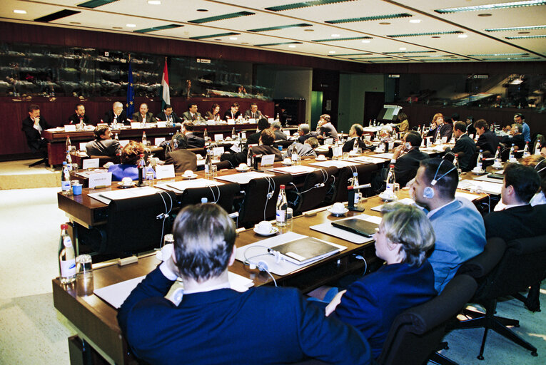 Fotagrafa 6: EU-Hungary Joint Parliamentary Committee