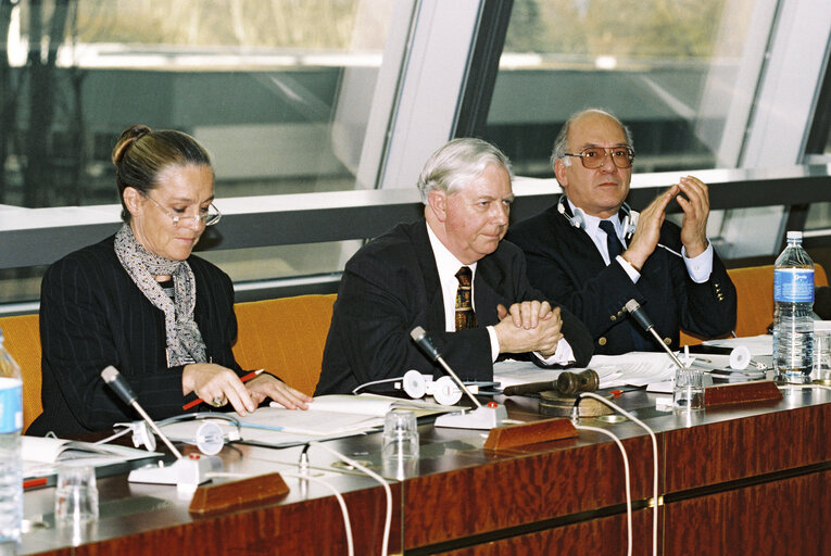 Foto 7: Meeting at the European Parliament in Strasbourg