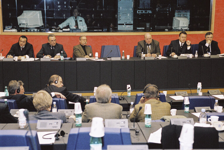 Meeting at the European Parliament