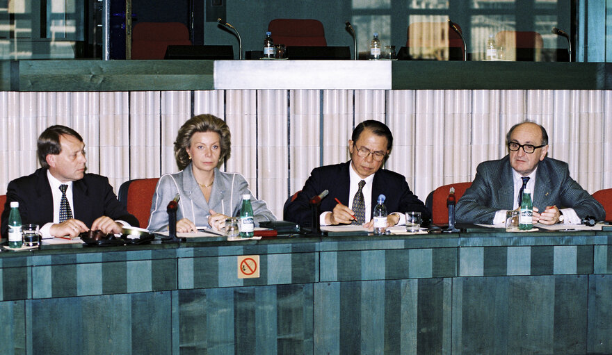 Meeting at the European Parliament in Strasbourg