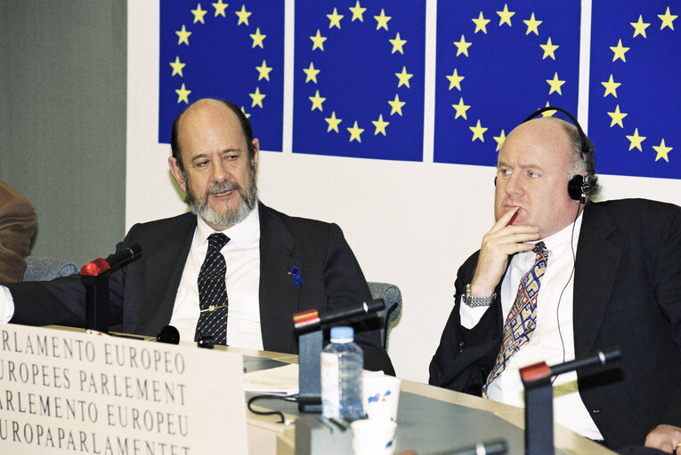 Zdjęcie 6: Press Conference at the European Parliament in Strasbourg